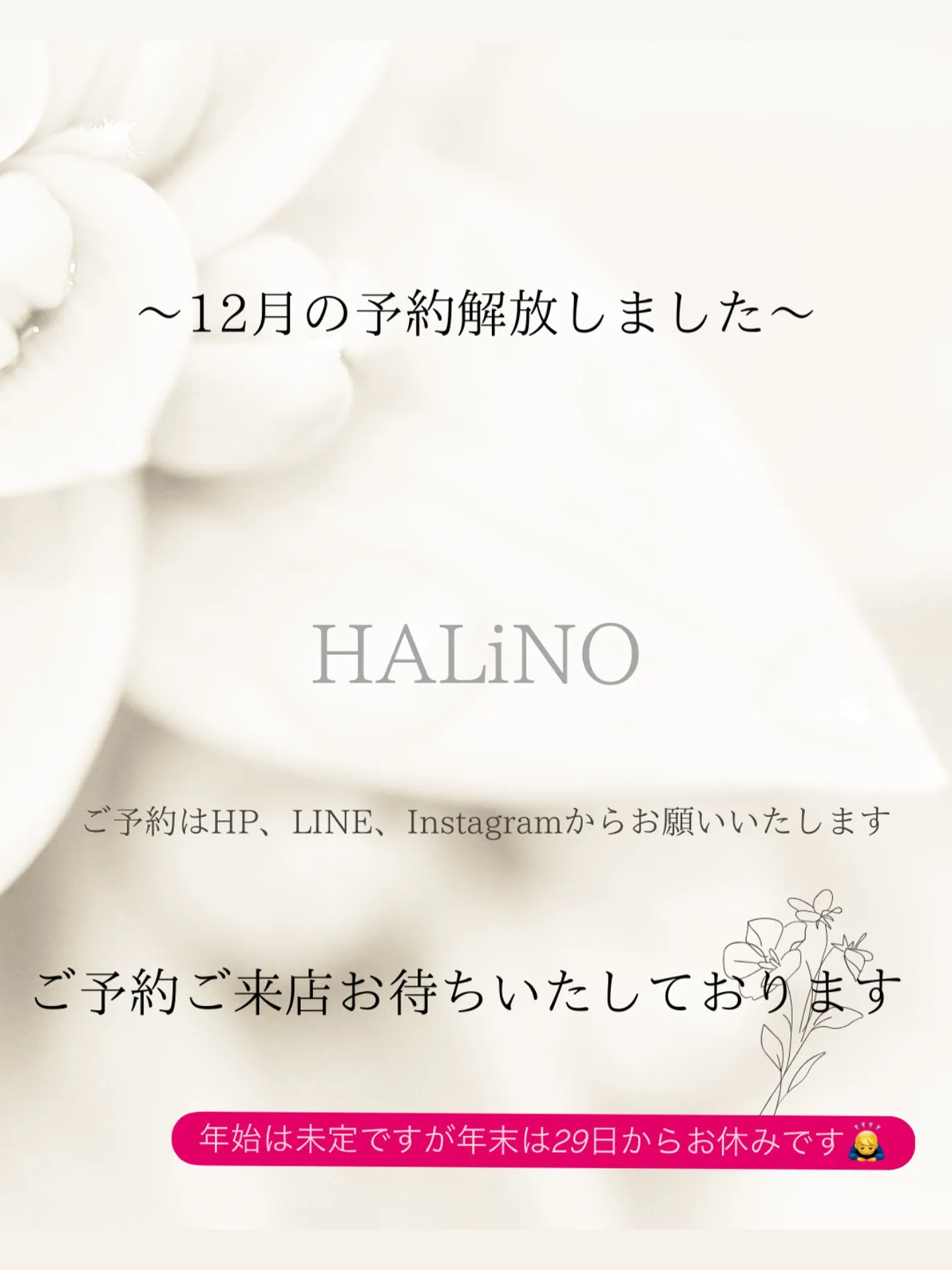 こんにちは☀️