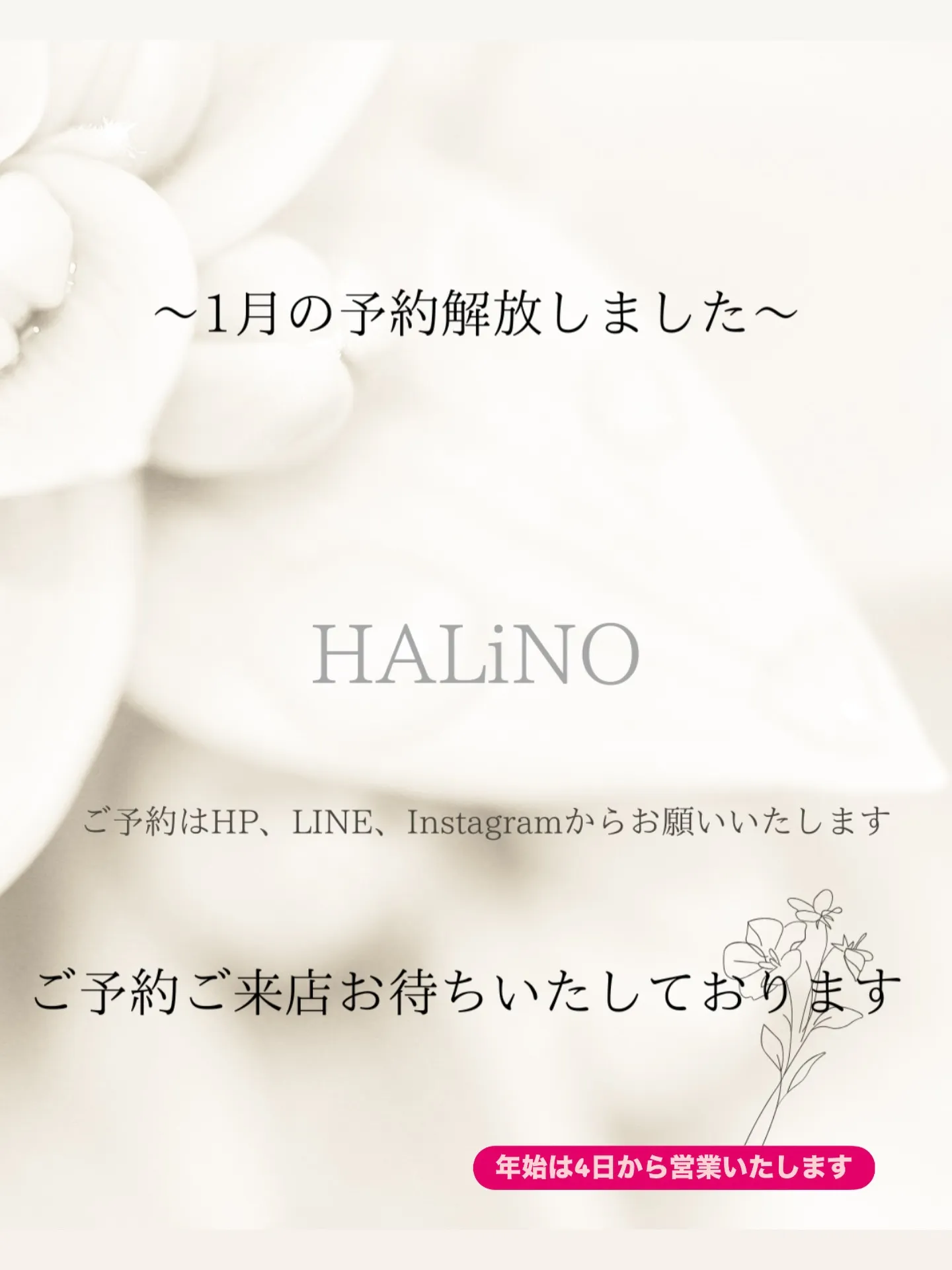 こんにちは☀️